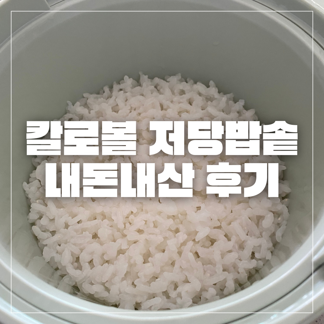 저당밥솥