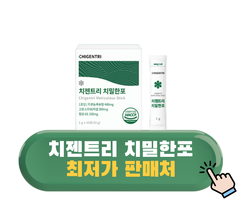 치젠트리 치밀한포